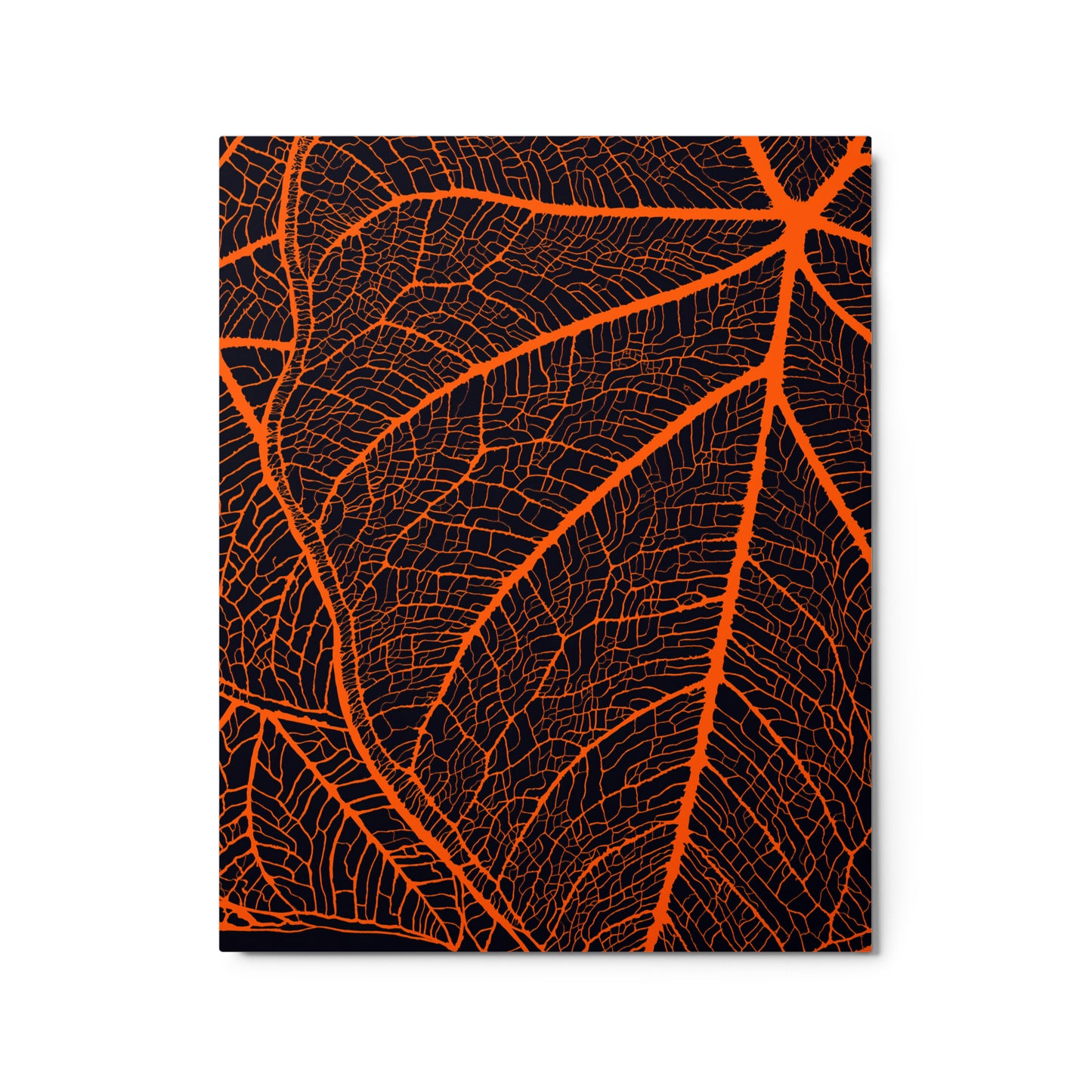 Natural Networks by Bryan Dodson, Print on Metal 16x20